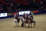 Quadrille - 00255